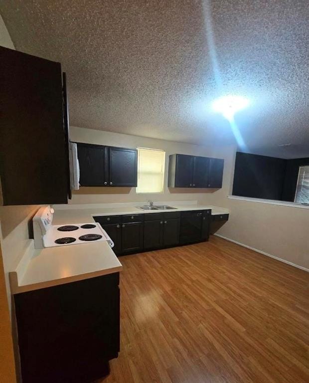 4016 German Pointer Way, Fort Worth TX 76123 - Photo 12