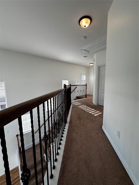3821 Marcillia Circle, Irving TX 75038 - Photo 16