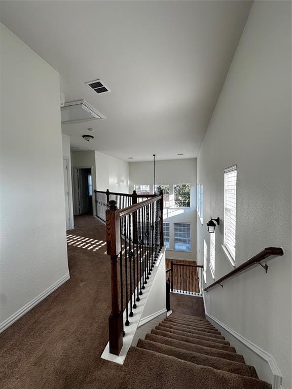 3821 Marcillia Circle, Irving TX 75038 - Photo 21
