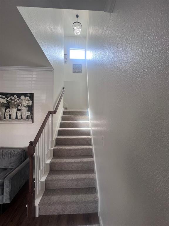 5420 Galante Lane, Denton TX 76208 - Photo 12