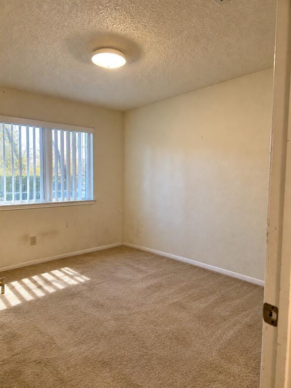 6406 Azalea Drive, Rowlett TX 75089 - Photo 13