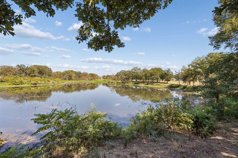 1511 Aspen Crossing, Oak Point TX 75068 - Photo 35