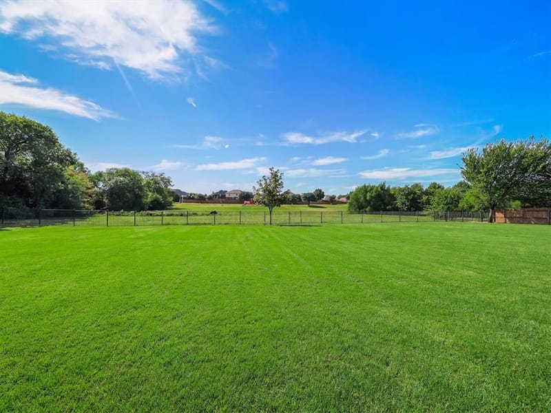 513 Tarpan Trail, Celina TX 75009 - Photo 2