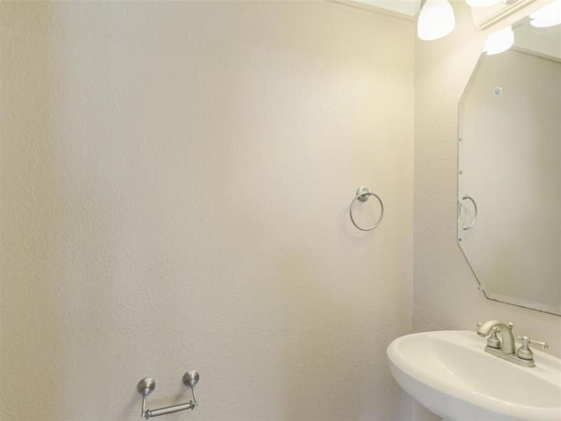 513 Tarpan Trail, Celina TX 75009 - Photo 19