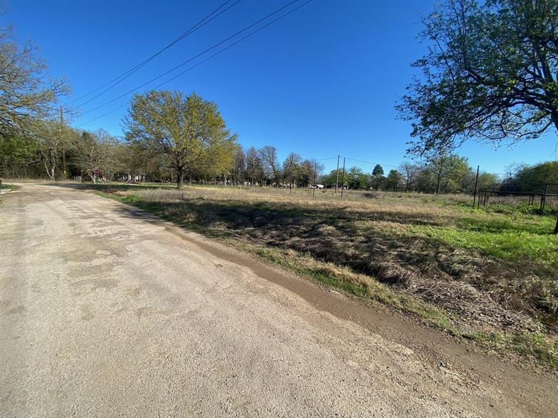 421 Kelly Lane, Seven Points TX 75143 - Photo 2
