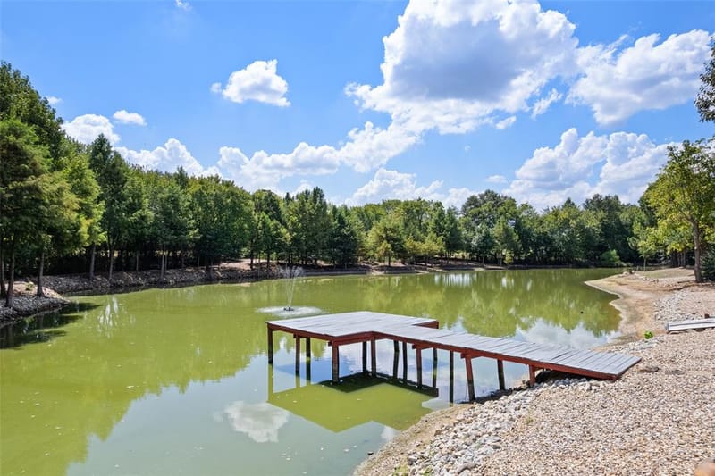 1562 SE County Road 4115, Mount Vernon TX 75457 - Photo 8