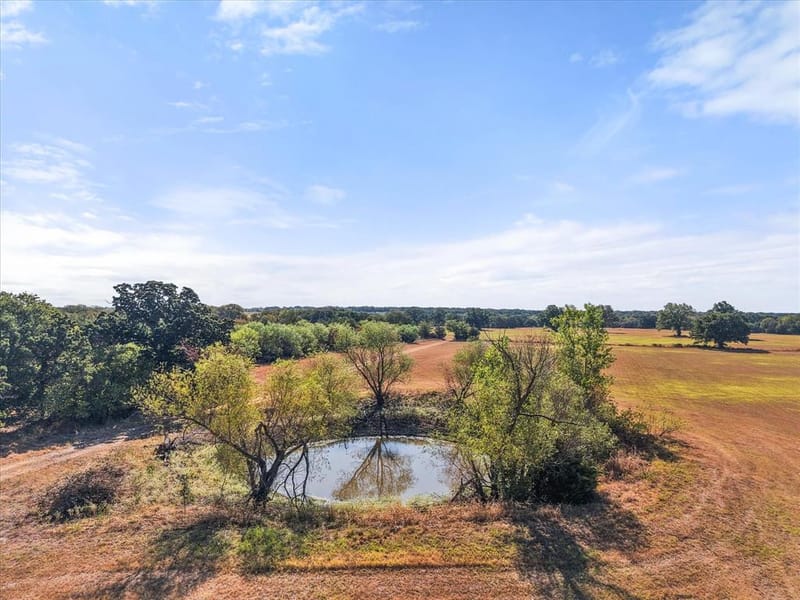 14181 Fm 639, Barry TX 75102 - Photo 37
