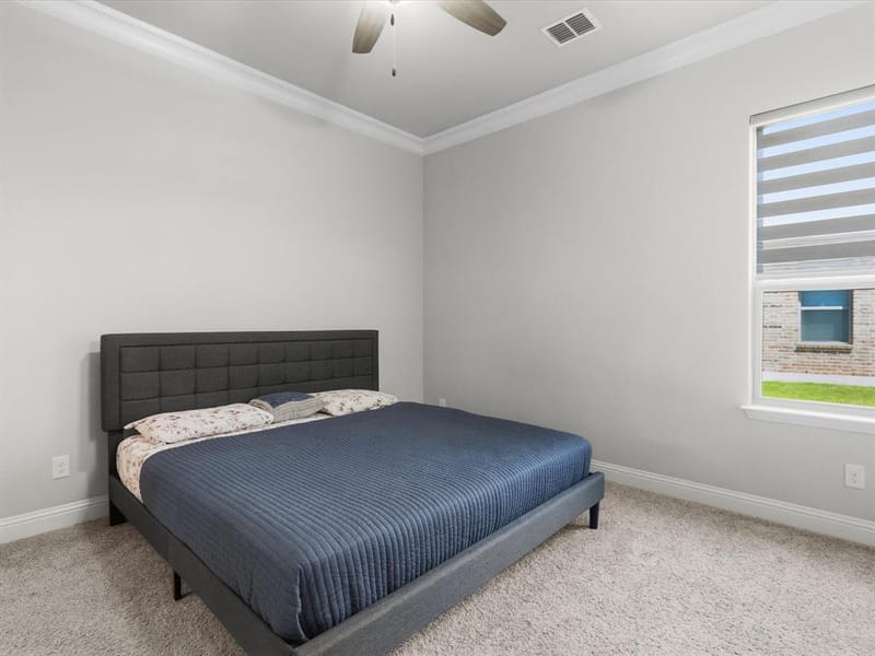 7025 Central Court, Little Elm TX 76227 - Photo 18