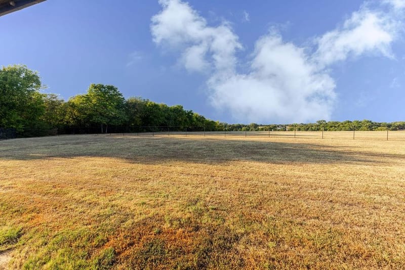 1209 Maple Street, Honey Grove TX 75446 - Photo 29
