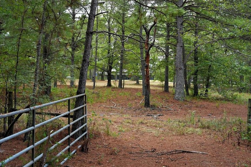 448 County Road 3955, Mineola TX 75773 - Photo 34