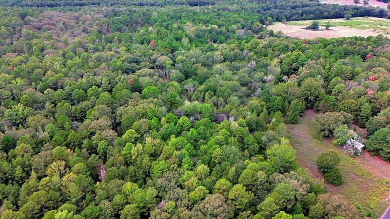 448 County Road 3955, Mineola TX 75773 - Photo 39