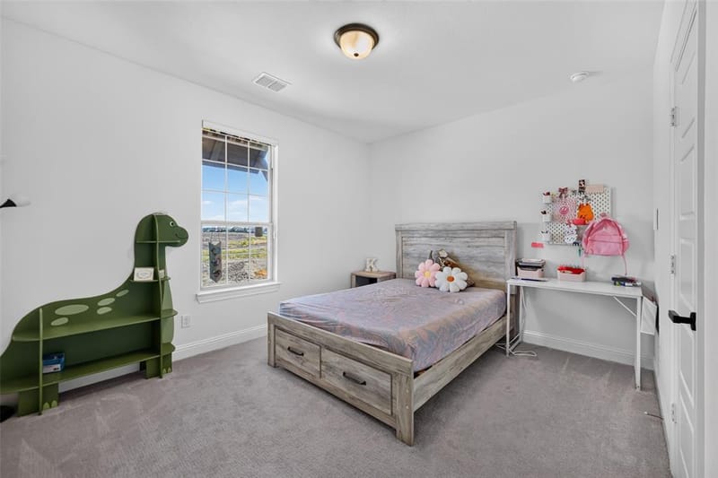 2229 Havannah Drive, Celina TX 75009 - Photo 16
