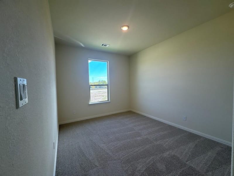 745 Stardust Drive, Anna TX 75409 - Photo 10