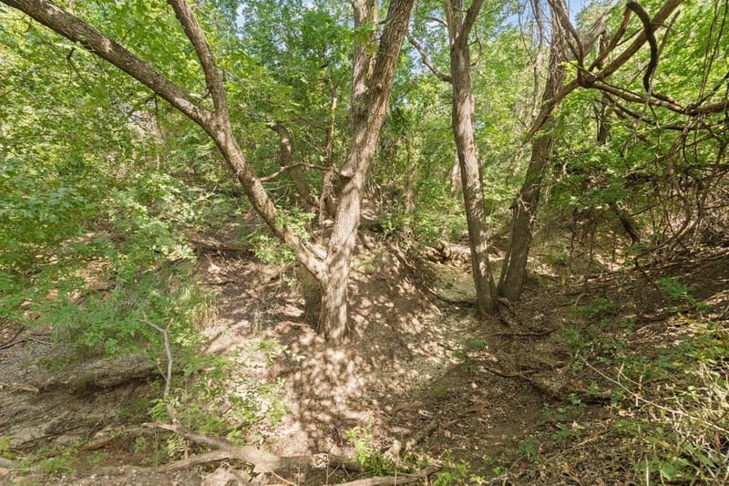 271 Jupiter Trail, Weatherford TX 76088 - Photo 34