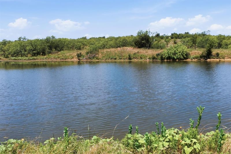 2 TBD Story Road, Perrin TX 76486 - Photo 37