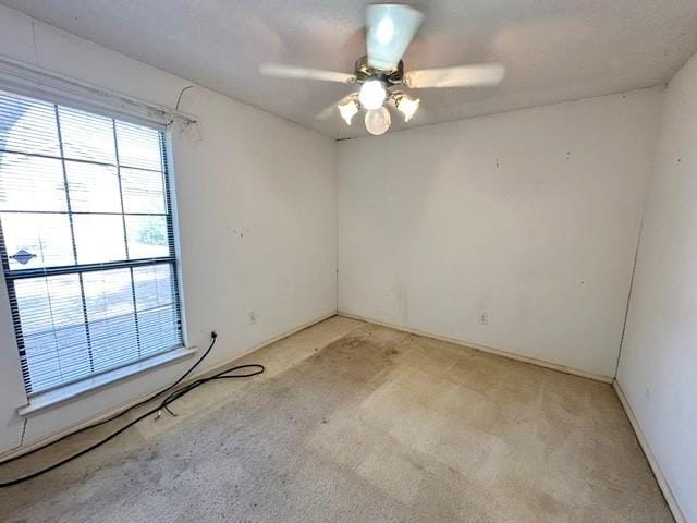 503 Pin Oak Drive, Terrell TX 75161 - Photo 13