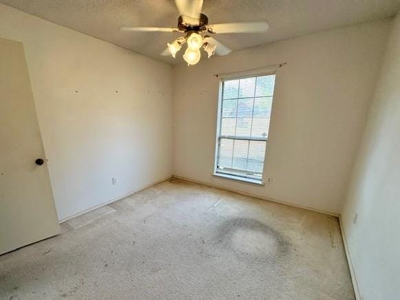 503 Pin Oak Drive, Terrell TX 75161 - Photo 12