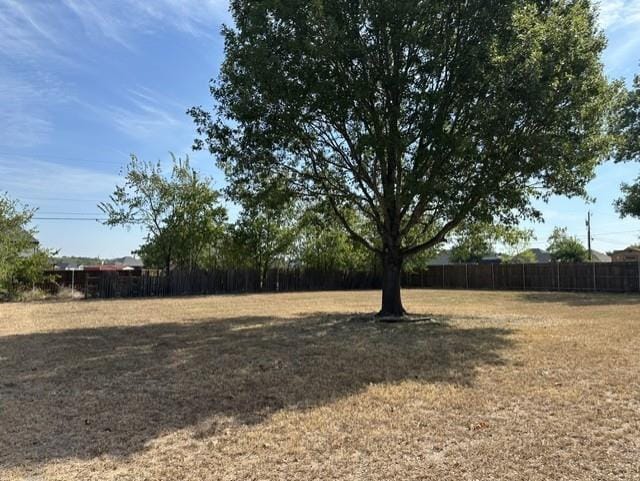 503 Pin Oak Drive, Terrell TX 75161 - Photo 19