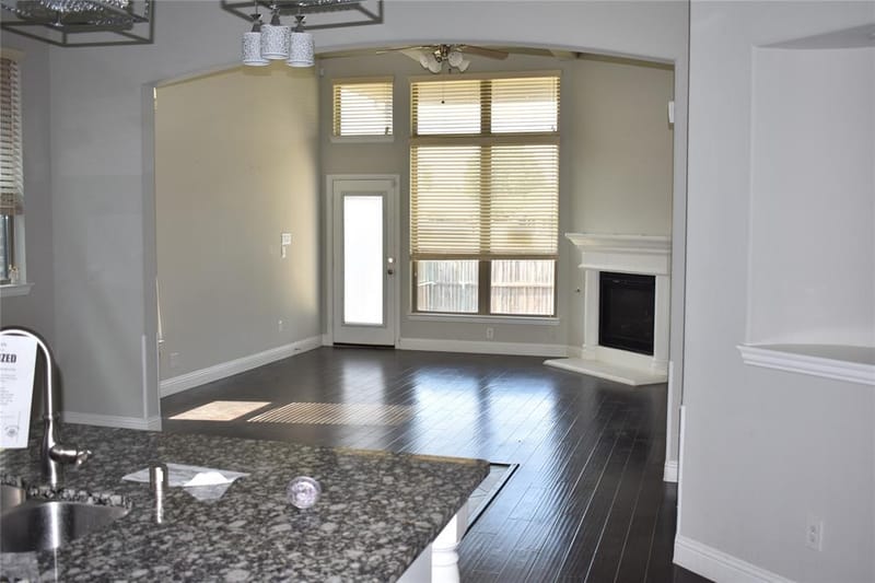 1009 Olivia Drive, Lewisville TX 75067 - Photo 6