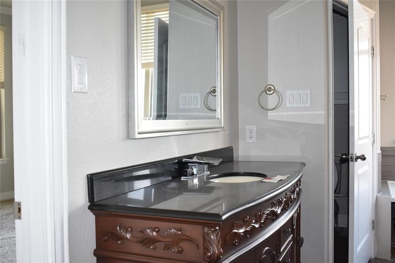1009 Olivia Drive, Lewisville TX 75067 - Photo 12