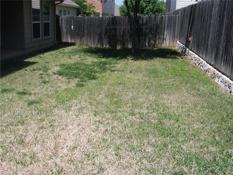 4309 Rancho Del Norte Trail, McKinney TX 75070 - Photo 17