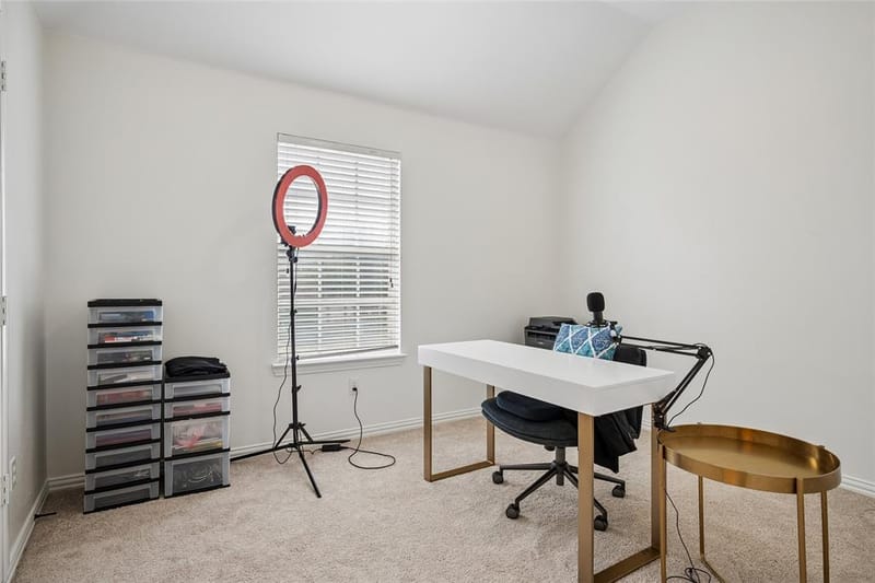 3801 Kite Meadow Drive, Plano TX 75074 - Photo 30