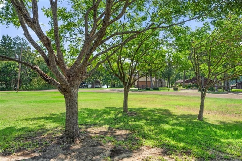 239 Lakewood Road, Trinidad TX 75163 - Photo 30