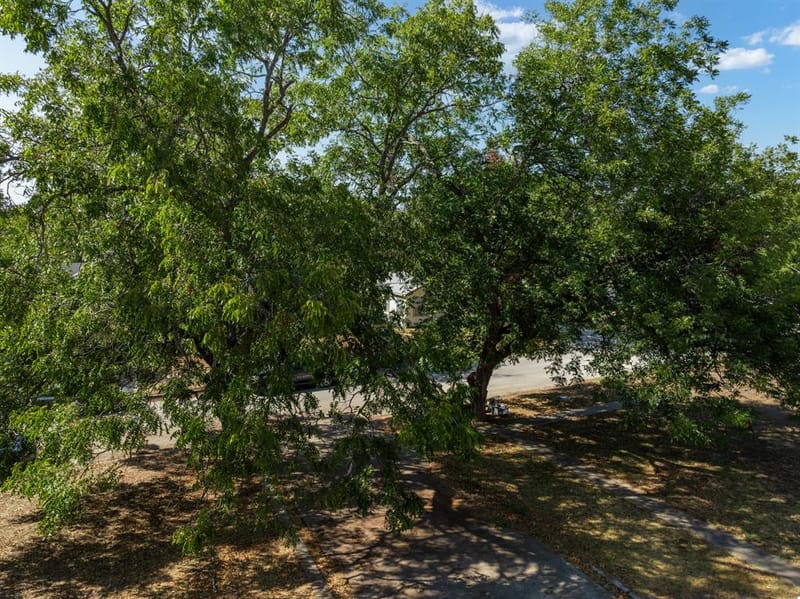 925 E Walnut Street, Hillsboro TX 76645 - Photo 15