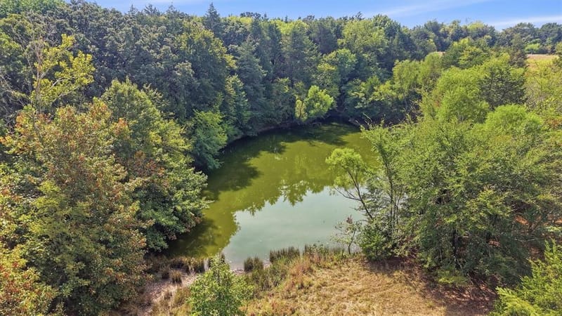 4489 E FM 120, Denison TX 75021 - Photo 7