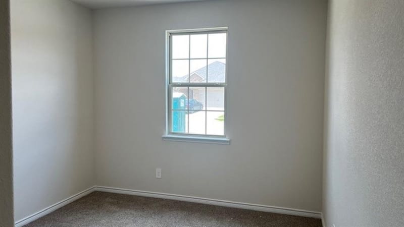 4809 Silver Vein Avenue, Aubrey TX 76227 - Photo 8