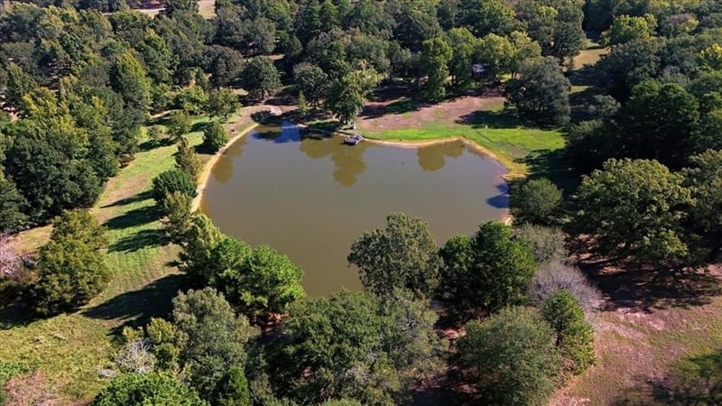 1135 County Road 2332, Mineola TX 75773 - Photo 38