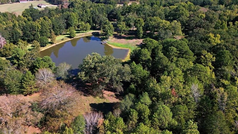 1135 County Road 2332, Mineola TX 75773 - Photo 39