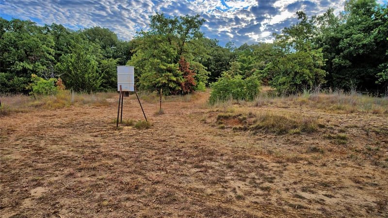7111 Starkey Road, Saint Jo TX 76265 - Photo 5