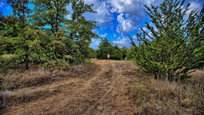7111 Starkey Road, Saint Jo TX 76265 - Photo 4