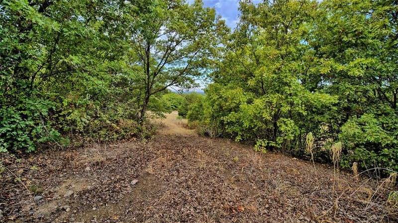 7111 Starkey Road, Saint Jo TX 76265 - Photo 8