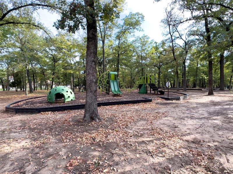 347 Saint Andrews Drive, Mabank TX 75156 - Photo 35