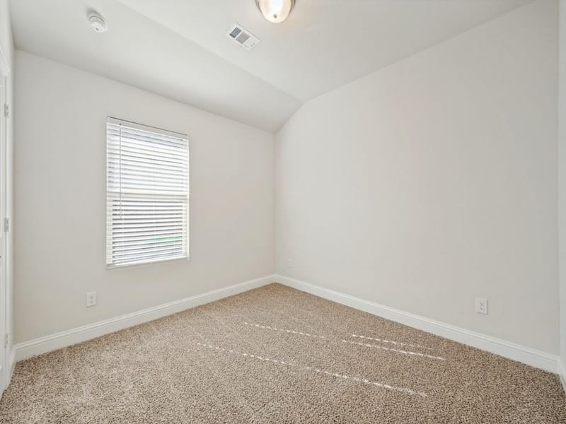 1705 Gold Mine Trail, Aubrey TX 76227 - Photo 21