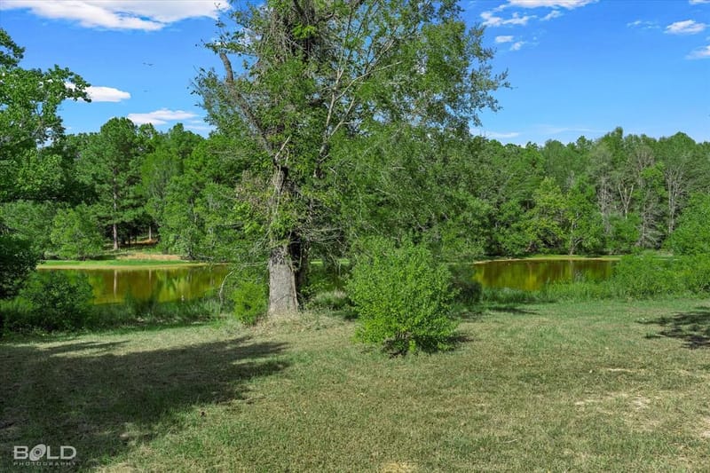 6442 Highway 527, Doyline LA 71023 - Photo 38