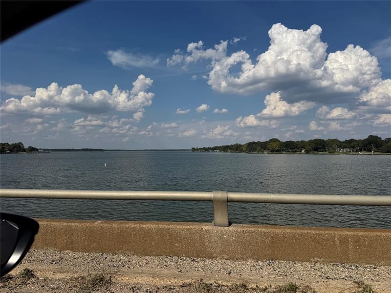 10122 Ash Cove, Wills Point TX 75169 - Photo 16