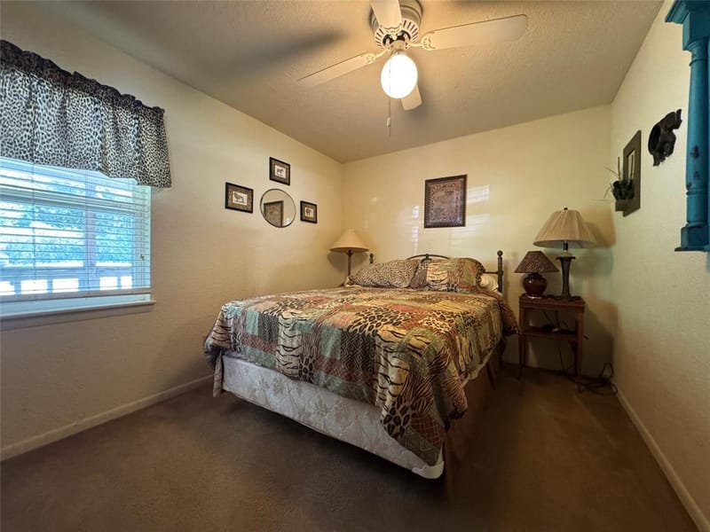 10122 Ash Cove, Wills Point TX 75169 - Photo 10