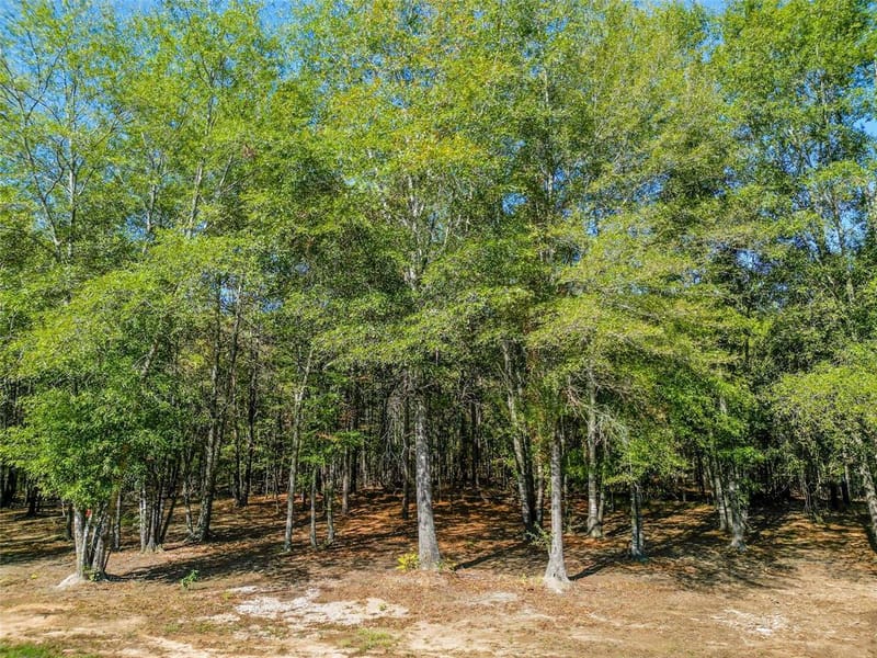 373 County road 3832, Hawkins TX 75765 - Photo 30