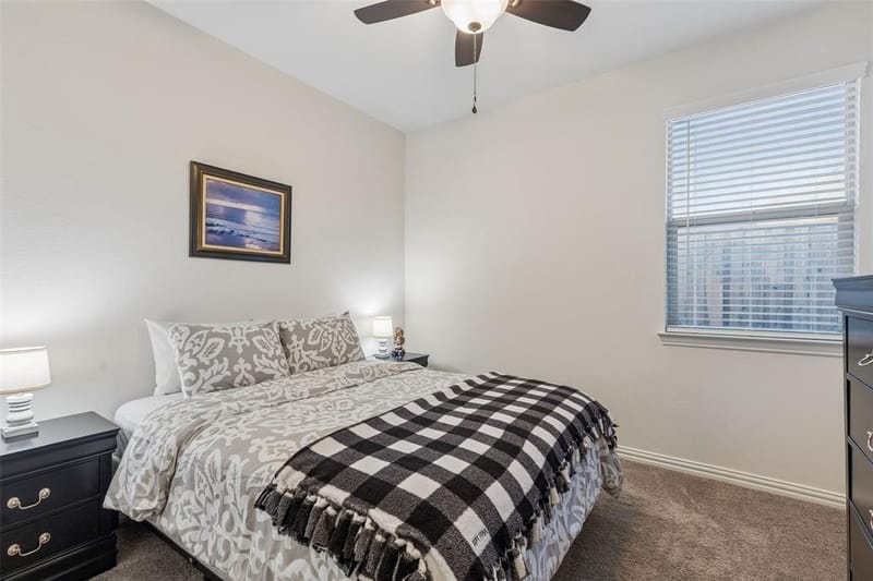 1218 Seurat Court, Little Elm TX 75068 - Photo 14