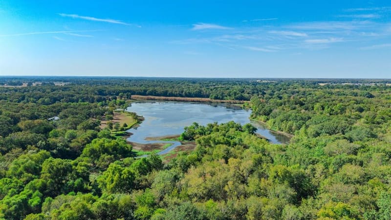 7161 County Road 3223, Lone Oak TX 75453 - Photo 6
