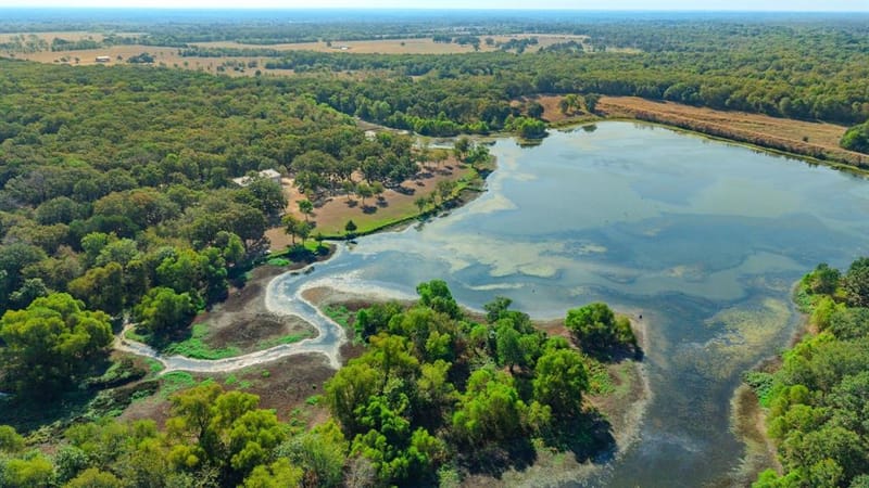 7161 County Road 3223, Lone Oak TX 75453 - Photo 7