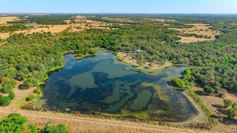 7161 County Road 3223, Lone Oak TX 75453 - Photo 10