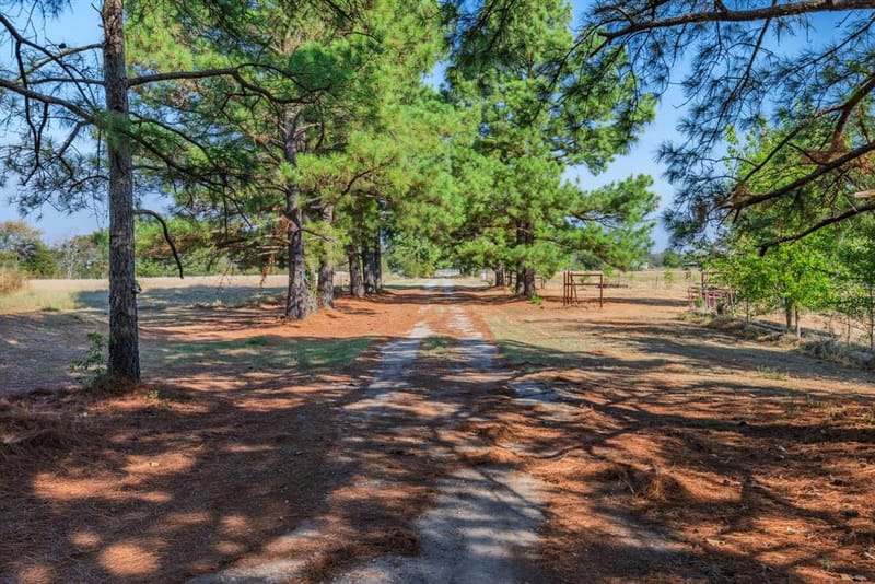 7161 County Road 3223, Lone Oak TX 75453 - Photo 37