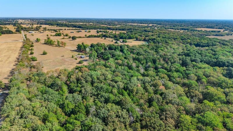 7161 County Road 3223, Lone Oak TX 75453 - Photo 11