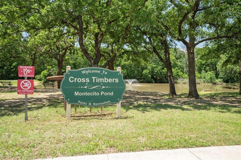 1517 Buena Vista Drive, Denton TX 76210 - Photo 40