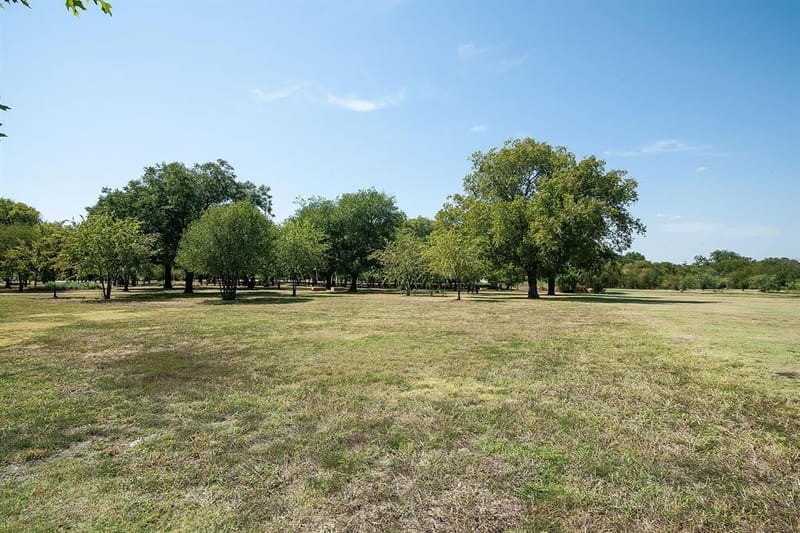 4340 Lavina Lane, Prosper TX 75078 - Photo 30