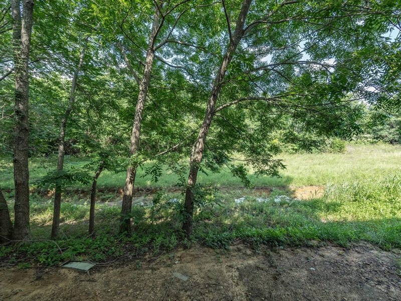 1530 Aldra Drive, Fort Worth TX 76120 - Photo 12